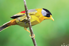 oiseau-lowpoly